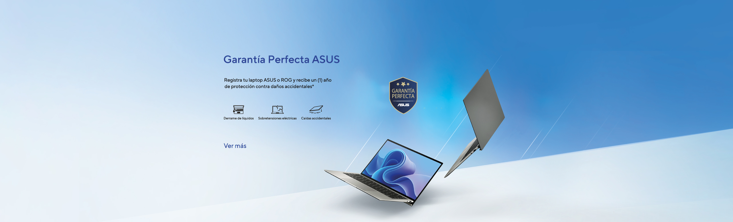 Garantia perfecta asus - paraguay